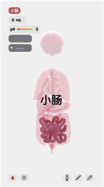 雷竞技网址