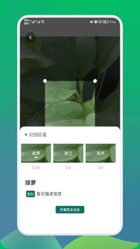 乐竞体育网址入口app