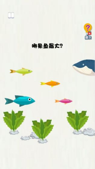 乐鱼体育app官方版下载