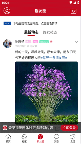 铜陵网