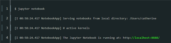 Jupyter Notebook