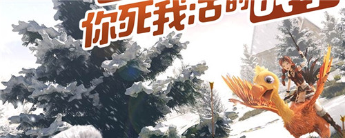 创造与魔法