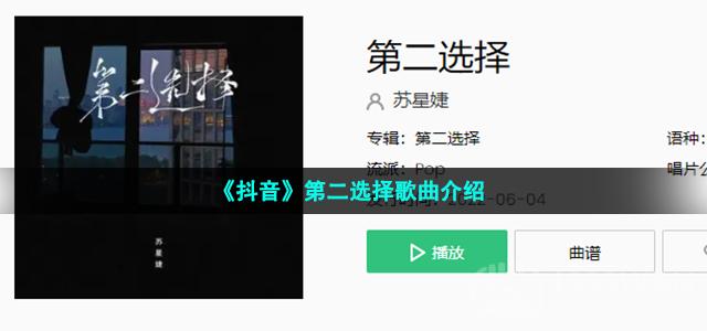 到底怎样的人能和你有以后为什么那个人不能是我什么歌-抖音热门歌曲第二选择完整版歌词试听分享