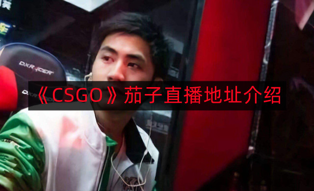 CSGO茄子在哪里直播-茄子直播地址介绍