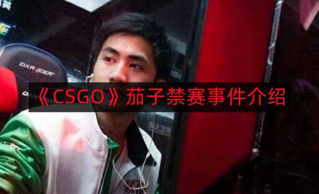 CSGO茄子为什么被禁赛-茄子禁赛事件介绍