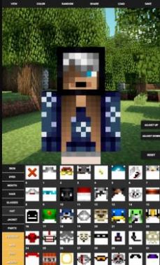 Custom Skin Creator