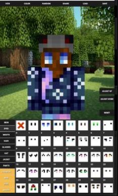 Custom Skin Creator